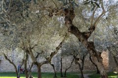 IMG_7180-scaled